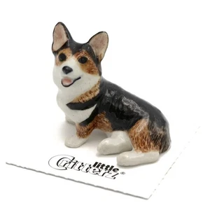 Little Critterz - Strickjacke Corgi Hund "Taffy" LC948 - Mini Porc Animal in Box - Bild 1 von 7