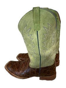 Anderson Bean Horse Power Fillet Of Fish Print Men’s Boots Size 12 D Square Toe - Picture 1 of 11