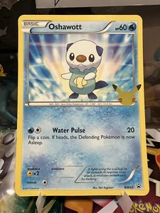CCCG Pokémon JUMBO Oshawott Primo Partner Celebrazioni 25° Anniversario COT.03 NUOVO DI ZECCA - Foto 1 di 3
