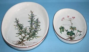 VILLEROY & BOCH " BOTANICA " - VITRO PORCELAINE OVAL DISHES - Picture 1 of 10