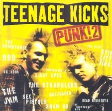 Teenage Kicks - Punk 2 CD (2001) Value Guaranteed from eBay’s biggest seller!