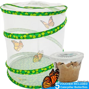 Butterfly Growing Garden Habitat Kit Pop Up Caterpillar Enclosure Net Cage 13" - Picture 1 of 8