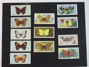 Vintage Schmetterling & Motte Zigarettenkarte Lot 12 Wills Brooke Bond Badshah Tee - Bild 1 von 3