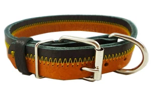 Designer Genuine Leather Tri-Color Dog Collar 11"-14" neck for Small/Medium Dogs - Picture 1 of 5