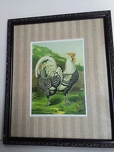 Rooster Hen Print Custom Matted Hanging Frame Country Kitchen Barnyard Animals - Picture 1 of 6