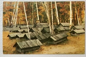 Postkarte Indianer Indianerfriedhof L'Anse Upper Peninsula Michigan um 1950 - Bild 1 von 3