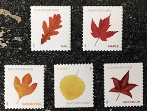 2025USA #5966-5970 Postcard Forever Rate Vibrant Leaves - Set of 5 Sheet Singles - Picture 1 of 1