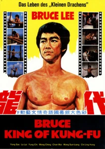 Bruce - King of Kung-Fu ORIGINAL A1 Kinoplakat Bruce Le / Bolo Yeung - Picture 1 of 1