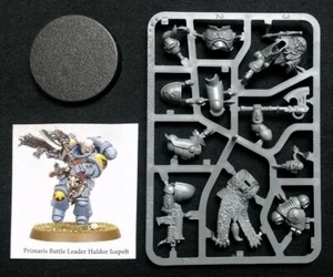 Warhammer 40k Primaris Space Wolves Lieutenant/Captain Haldor Icepelt NoS - Picture 1 of 1