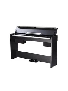 Pianoforte digitale 88 tasti pesati Medeli CDP5000B - Imagen 1 de 4
