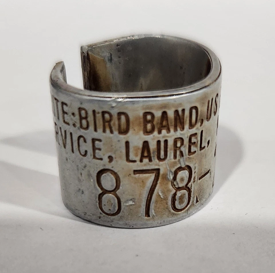 878 Prefijo Federal Canada Ganso Banda Avise Pato Pájaro Foto 1 de 1