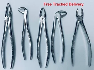 Fórceps de extracción dental para herramientas quirúrgicas de aflojamiento de raíces molares inferiores y superiores - Imagen 1 de 9