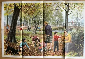 An Autumn Walk CLASSROOM POSTER 1966 Hubert Williams VINTAGE Trees - Picture 1 of 4