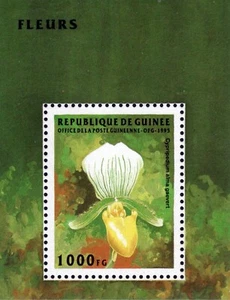 Guinea - 1995 - Flora - BF nuovo (MNH) - Picture 1 of 1