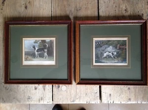 Antique Engraving Sporting Hunting Dogs Color Plates 1845 W.Barraud,J.Ferneley - Picture 1 of 12