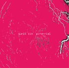 Sunik Kim Potential (Schallplatte) 12" Album