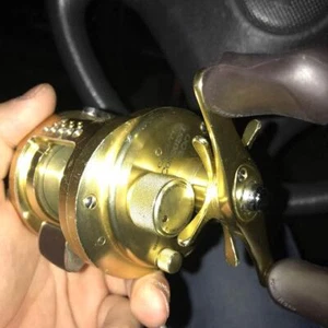 SHIMANO CALCUTTA CONQUEST 200 Saltwater Bait Casting Reel Fishing Catfish B5223 - Picture 1 of 2