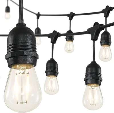 15-Light Indoor/Outdoor 48 ft. Plug-in Edison Bulb Shape String Light Rustic LED - Image 1 of 4