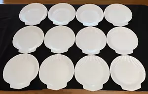 (12) Wedgwood Bone China Nautilus Collection Jakobsmuschel Muschel 8-3/4" Salatteller - Bild 1 von 18