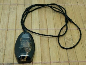 Pendentif en résine de qualité avec VRAI scorpion - taxidermie insecte collier - Imagen 1 de 5