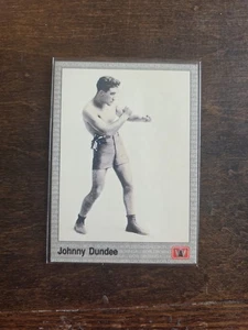 1991 AW Sports Premier Boxing - Picture 1 of 2