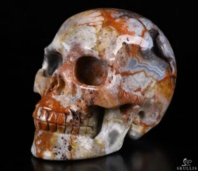 PIEDRA PRECIOSA 3.3" Rojo Encaje Loco Ágata Tallado Cristal Calavera, Realista, Curativo Foto 1 de 4