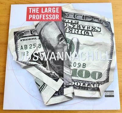 LARGE PRO PROFESSOR Vinyl RAP HIP HOP Ijuswannachill - Image 1 of 4
