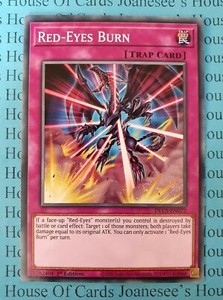 Red-Eyes Burn DLCS-EN072 Common Yu-Gi-Oh Card 1st Edition New