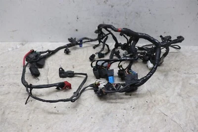 Arnés de cables de motor principal Triumph Street Triple 675 2007-2012 telar eléctrico Foto 1 de 4