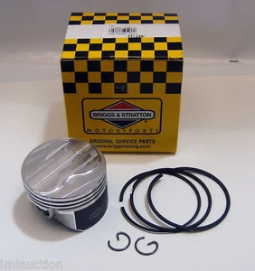 Briggs 557123 PISTON ASSEMBLY 020 World Formula - Imagen 1 de 5