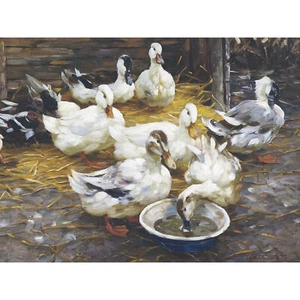 Koester Enten Strohvögel Natur Kunstplakat großer Druck 46x61 cm - Bild 1 von 5