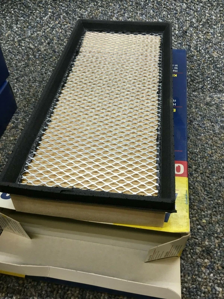 Hastings AF897 Air Filter  (WIX 46174) - Image 1 of 3