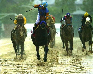 2015 Victor Espinoza AMERICAN PHAROAH Preakness Stakes Horse Racing 8x10 Photo - Picture 1 of 1
