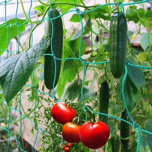 Trellis Netting for Climbing Plants - Heavy Duty Garden Trellis Netting for Cucu - Picture 1 of 12