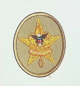 BSA Star Scout Rank Patch Tan Modern Current Issue Mint Condition - Picture 1 of 2