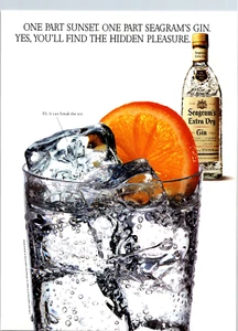 1993 Seagram's Gin One Part Sunshine One Part Gin Vintage Print Ad Ephemera - Bild 1 von 1