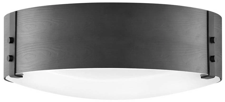 Hinkley Sawyer 15" Wide Black Outdoor Ceiling Light - Image 1 of 1
