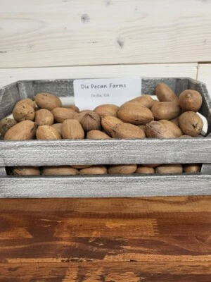 Bolsa de 10 lb para recortar Georgia 2024 cultivada en carcasa nueces deseables ENVÍO GRATUITO Foto 1 de 4