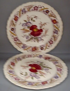 Wedgwood Cornflower Shell Edge Multicolor LUNCHEON Plate SET OF TWO - Picture 1 of 3