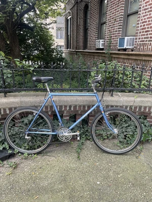 Specialized Stumpjumper 1983 - grande/22,5" azul con componentes STOCK 26" Foto 1 de 4