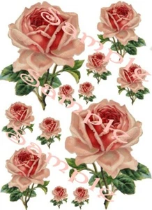 Shabby Roses Pinky Peach Waterslide Decals - Picture 1 of 1