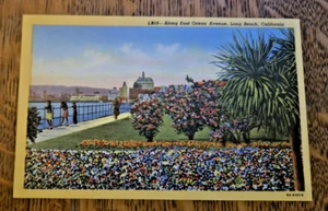 Along East Ocean Ave., LB, CA , Vintage Post Card 1930, Western Publishing Co. - Picture 1 of 2