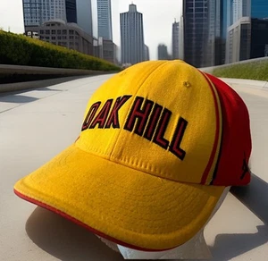 Oak Hill Academy Hat Jordan Jumpman FITTED L CARMELO ANTHONY #22 Basketball Cap - Picture 1 of 12