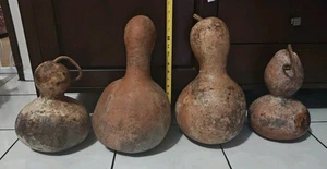 XL Vintage Decorative Gourds 4 To Choose From Fall Winter Spring  Art Craft - Picture 1 of 20