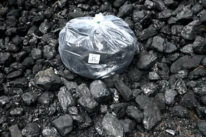 Anthracite Coal Pennsylvania EGG Coal Blacksmith Geological Teacher Sample 40 lb - Picture 1 of 5