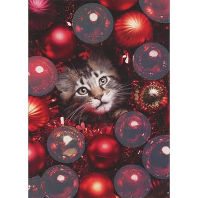 Gatito gris en el centro de adornos rojos brillantes caja de 12 tarjetas de Navidad Foto 1 de 2