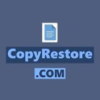 Copyrestore .Com / Nr Domain Auction / Business Website Name / Namesilo