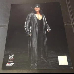 UNDERTAKER WWE OFFICIAL LICENSED 8X10 WRESTLING PHOTO PHOTO FILE WWF HOLOGRAM - Picture 1 of 3