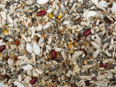 Papageienfutter ohne Nüsse 10 kg Spezial Vogelfutter Samenmischung Papagei Ara - Bild 1 von 2