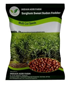 SeeBs forraje de pasto de Sorgo Sudán - 1 Kg - SeeB forraje de corte múltiple para cultivo forrajero - Imagen 1 de 5